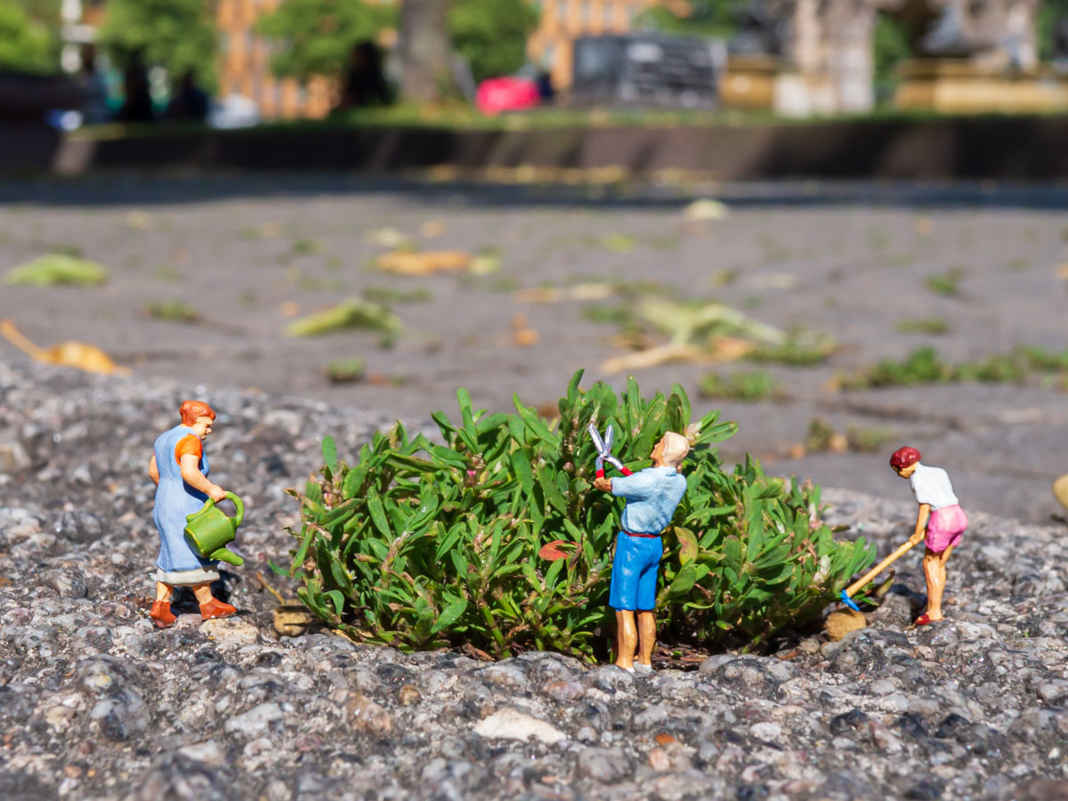 Gartenarbeiten (nah) - Paradeplatz