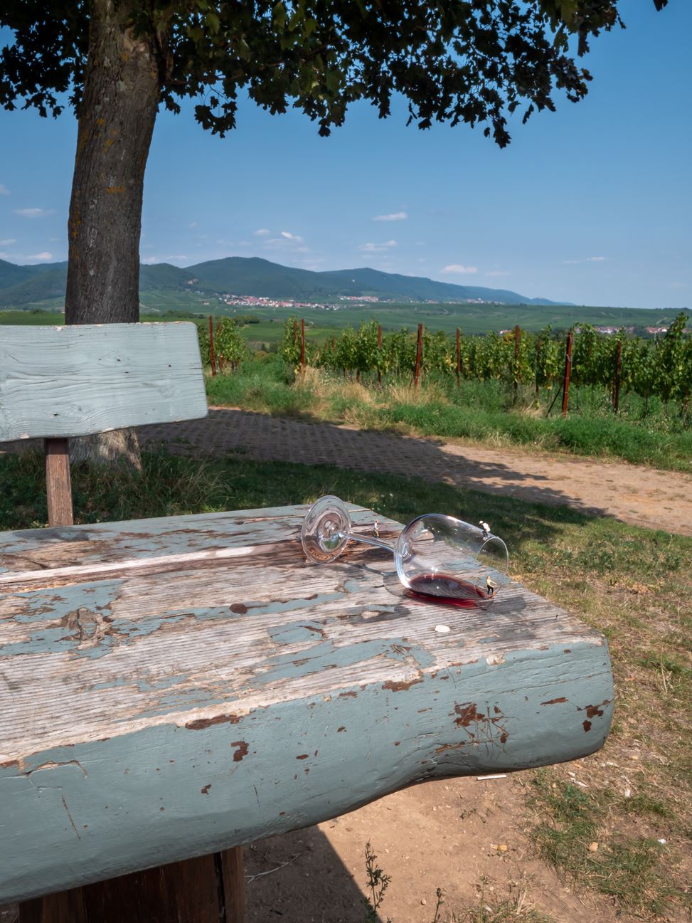 WINE SKATER · Kleine Kalmit Ilbesheim